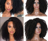 Afro Kinky Curly Human Hair Wigs